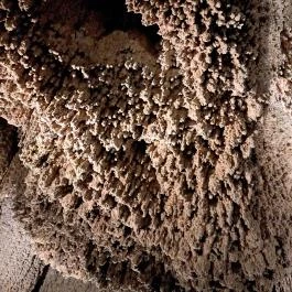 Anna-barlang Lillafüred - Egyéb