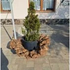 Árpád Vendéglő Súr - Egyéb