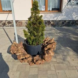 Árpád Vendéglő, Súr - Egyéb