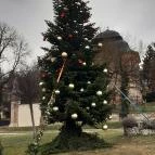 Főtér Aszód - Egyéb