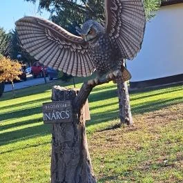 Bagolyvár Inárcs Inárcs - Egyéb