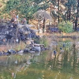 Bagolyvár Inárcs Inárcs - Egyéb