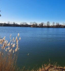 7. legjobb látnivaló: A-Beton horgásztó