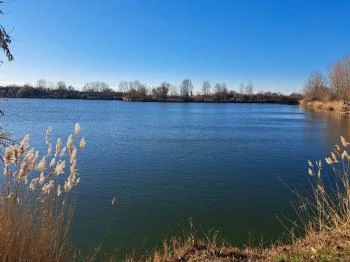 A-Beton horgásztó Hatvan