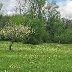 Basakert Babócsa - Egyéb