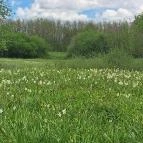 Basakert Babócsa - Egyéb