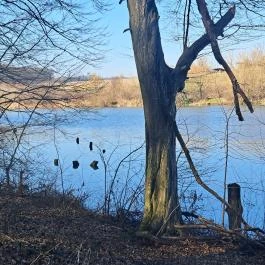 Bika-tó Galgahévíz - Egyéb