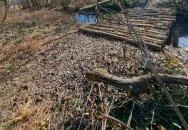 Bika-tó Galgahévíz