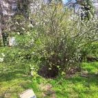 Magyar Mezőgazdasági Múzeum és Könyvtár Blaskovich Múzeuma Tápiószele - Egyéb