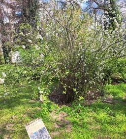 Magyar Mezőgazdasági Múzeum és Könyvtár Blaskovich Múzeuma