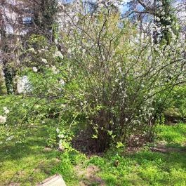 Magyar Mezőgazdasági Múzeum és Könyvtár Blaskovich Múzeuma Tápiószele - Egyéb