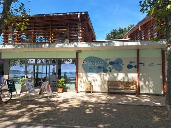 Bodorka Balatoni Vízivilág Látogatóközpont Balatonfüred