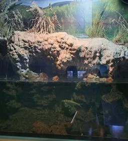 Bodorka Balatoni Vízivilág Látogatóközpont