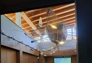 Bodorka Balatoni Vízivilág Látogatóközpont Balatonfüred