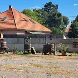 Borgazdasági Múzeum Tolcsva - Egyéb
