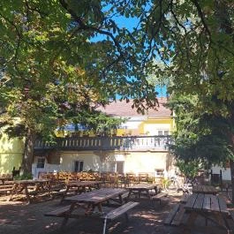 Borgazdasági Múzeum Tolcsva - Egyéb