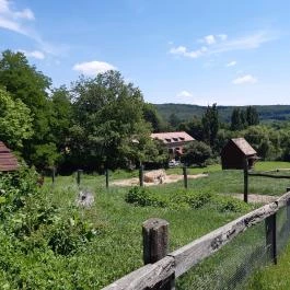 Bőszénfai Szarvasfarm, Bőszénfa - Egyéb