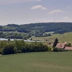 Bőszénfai Szarvasfarm Bőszénfa - Egyéb