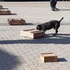 CsabaPark Békéscsaba - Egyéb