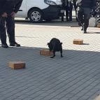 CsabaPark Békéscsaba - Egyéb