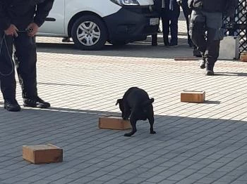 CsabaPark Békéscsaba