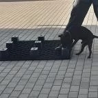 CsabaPark Békéscsaba - Egyéb