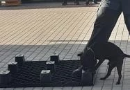 CsabaPark Békéscsaba