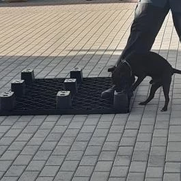 CsabaPark Békéscsaba - Egyéb