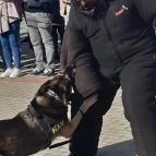 CsabaPark Békéscsaba - Egyéb