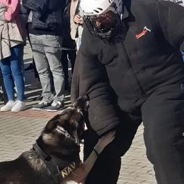 CsabaPark Békéscsaba - Egyéb