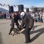 CsabaPark Békéscsaba - Egyéb