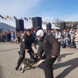 CsabaPark Békéscsaba - Egyéb