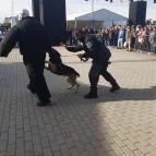 CsabaPark Békéscsaba - Egyéb