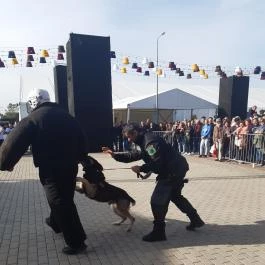 CsabaPark Békéscsaba - Egyéb