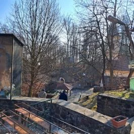 Csatkai szentkút Csatka - Egyéb