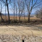 Csatkai szentkút Csatka - Egyéb