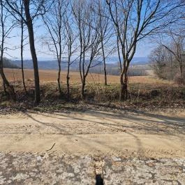 Csatkai szentkút Csatka - Egyéb