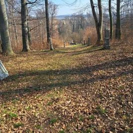 Csatkai szentkút Csatka - Egyéb