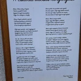 Csatkai szentkút Csatka - Egyéb