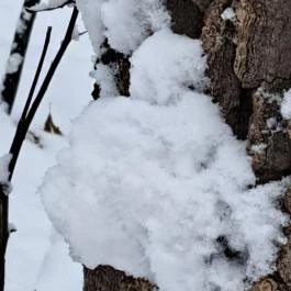 Csörgő Szurdok Mátraszentimre - Egyéb