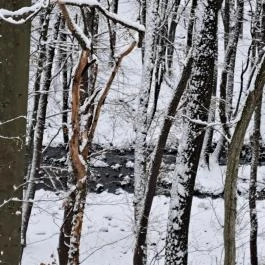 Csörgő Szurdok Mátraszentimre - Egyéb