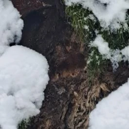 Csörgő Szurdok Mátraszentimre - Egyéb