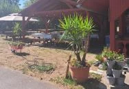 Delta Kemping Balatonederics