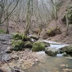 Dera-szurdok Pilisszentkereszt - Egyéb