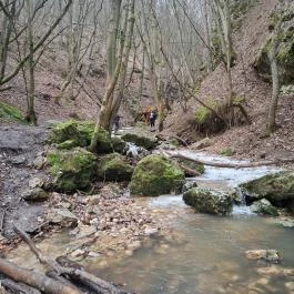 Dera-szurdok, Pilisszentkereszt - Egyéb