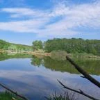 Deseda Kaposvár - Egyéb