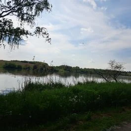 Deseda Kaposvár - Egyéb