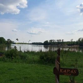 Deseda Kaposvár - Egyéb