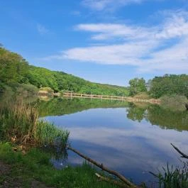 Deseda Kaposvár - Egyéb