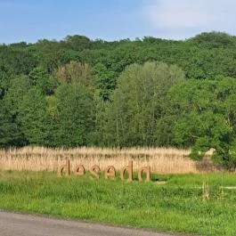 Deseda Kaposvár - Egyéb